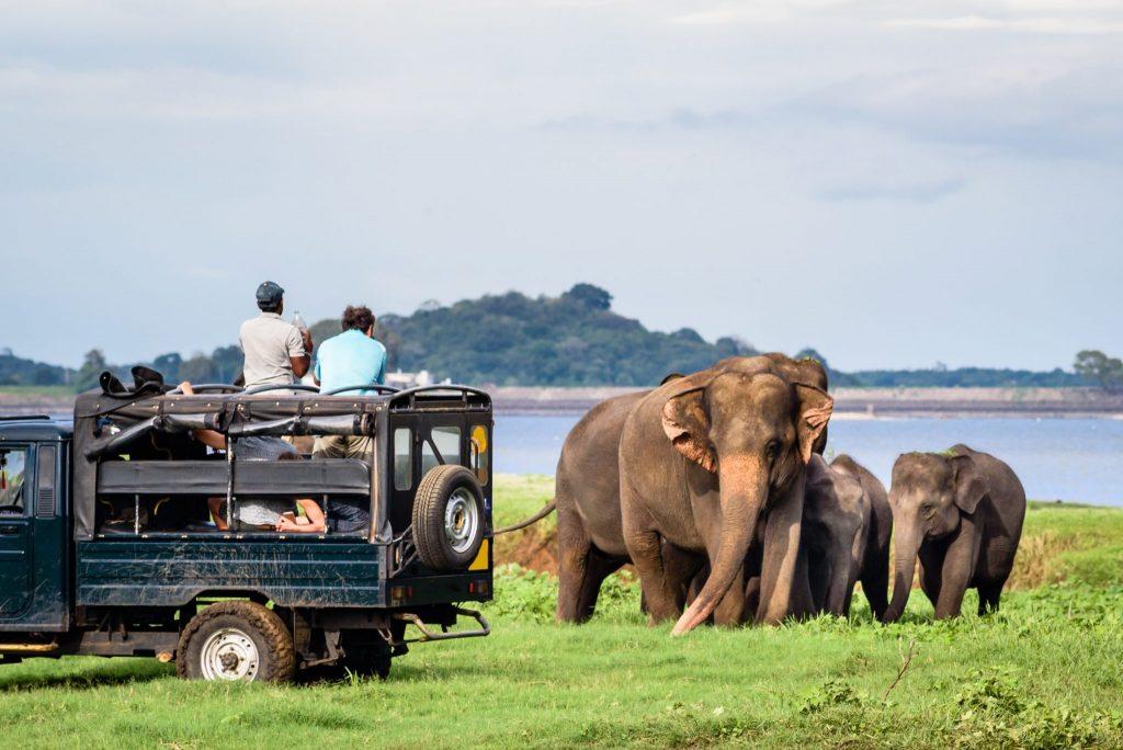 yala nactional park